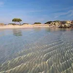 Laguna