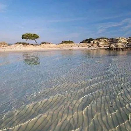 Laguna