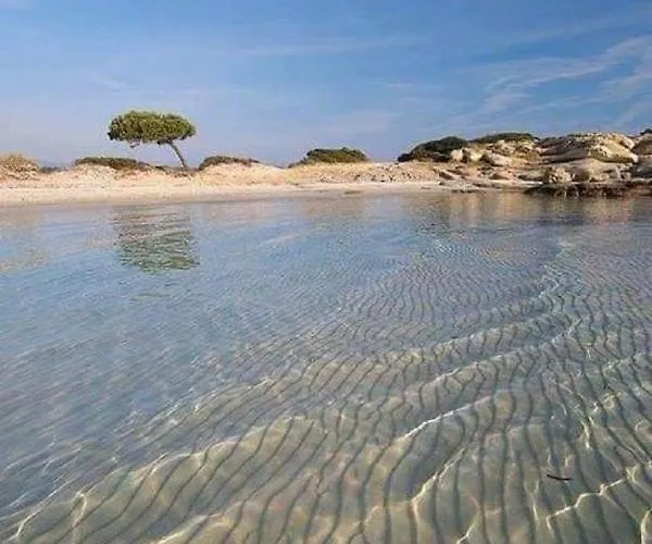 Laguna