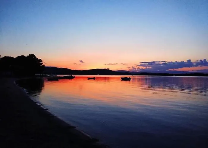Laguna *